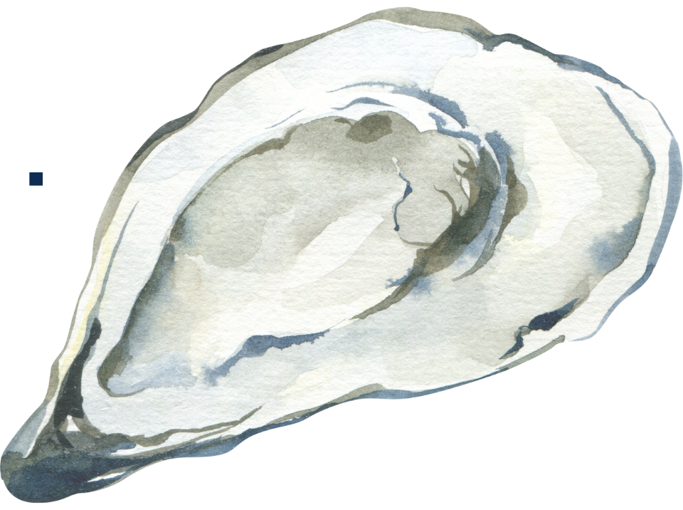 oyster shell